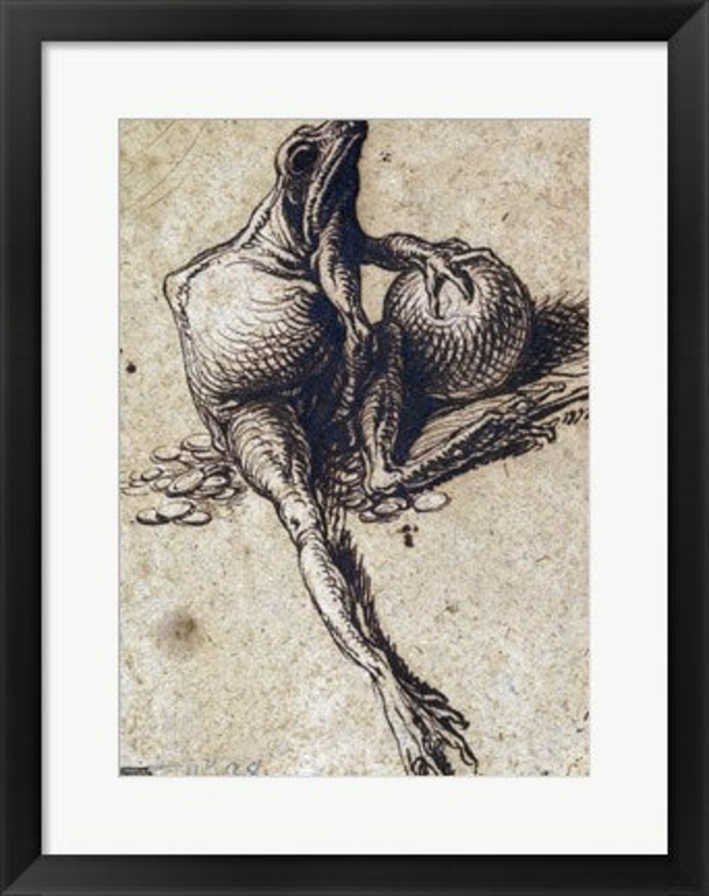 Framed Art A Frog Sitting on Coins and Holding a Sphere by Jacques De gheyn Wall Decor 18x24 Artwork